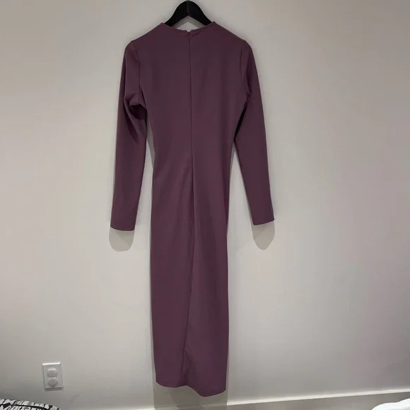 Zara Ruched Dress - Picture 4 of 4